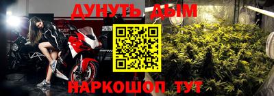 прущие грибы Гусев
